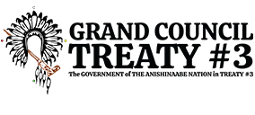 Grand Council Treaty 3 Logo