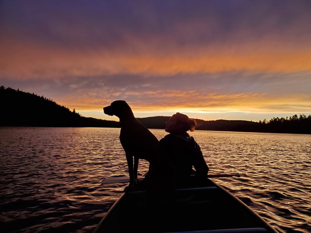 Photo canoe sunset dog